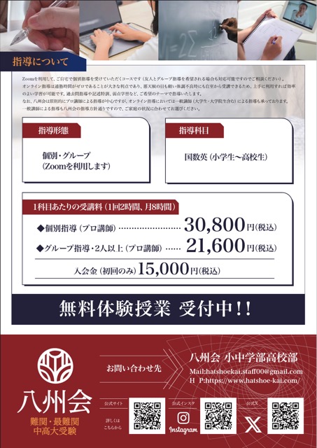 オンライン個別指導塾 案内チラシ（学習塾・教室・チラシ）